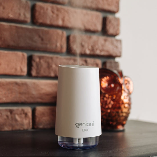 Geniani™ || Erie Travel USB Humidifier 250ML White