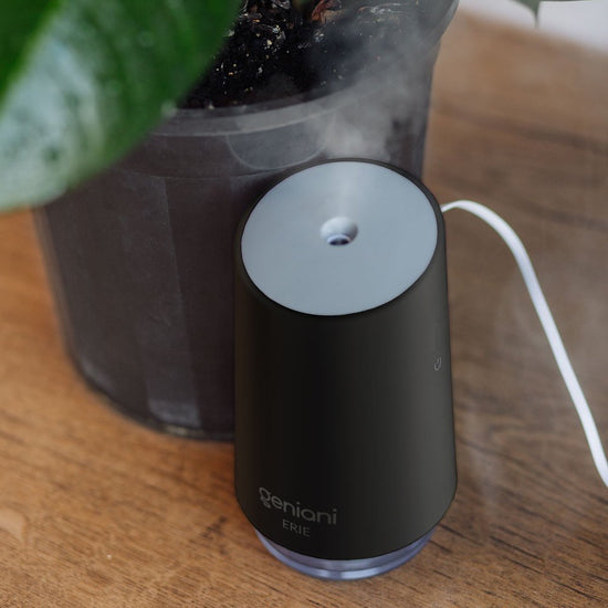 Geniani™ || Erie Portable  Humidifier 250ML Black